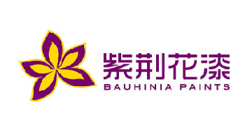 Bauhina paints